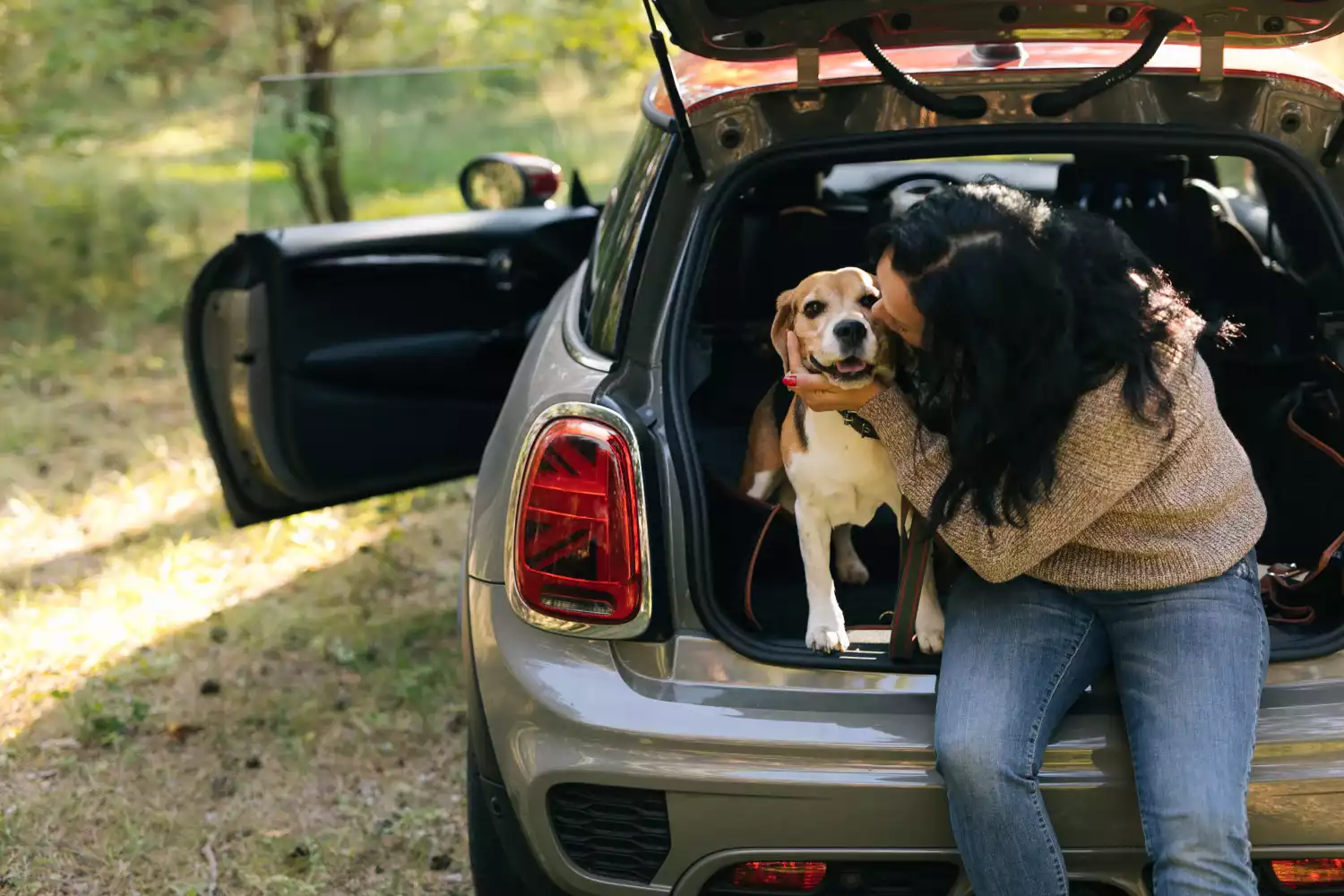 Ford Ranger Back Seat Cover for Boxers