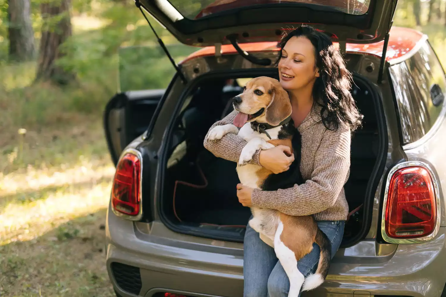 Dog Back Seat Cover for Hyundai Elantra