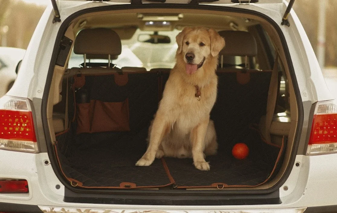 Dog Back Seat Cover for Toyota RAV4