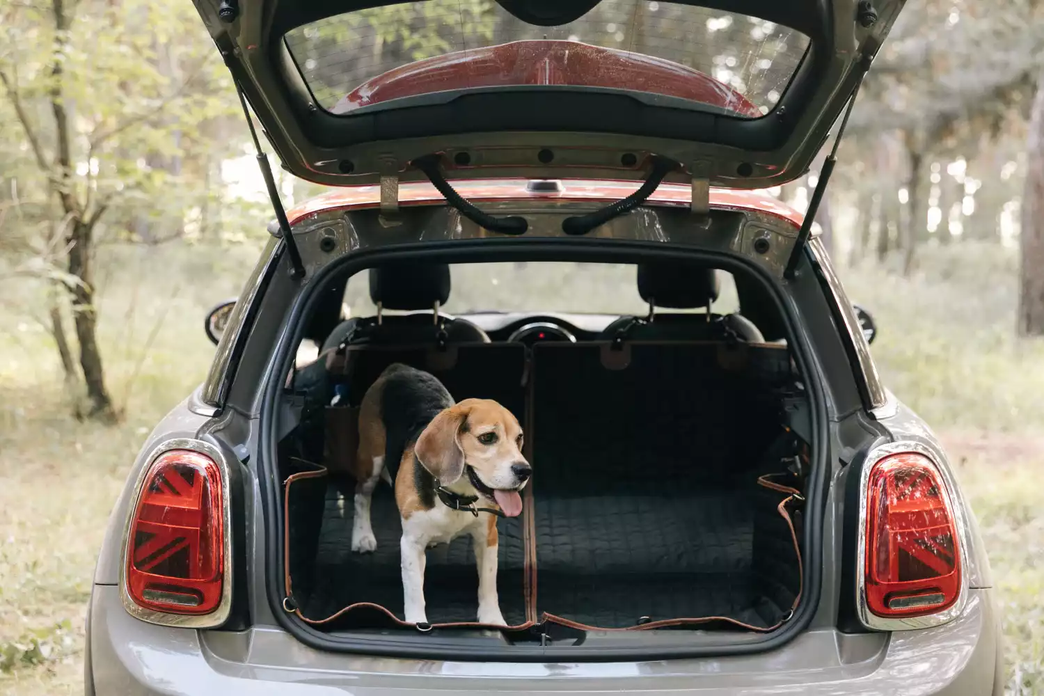 Pet Seat Cover for Jeep Wrangler