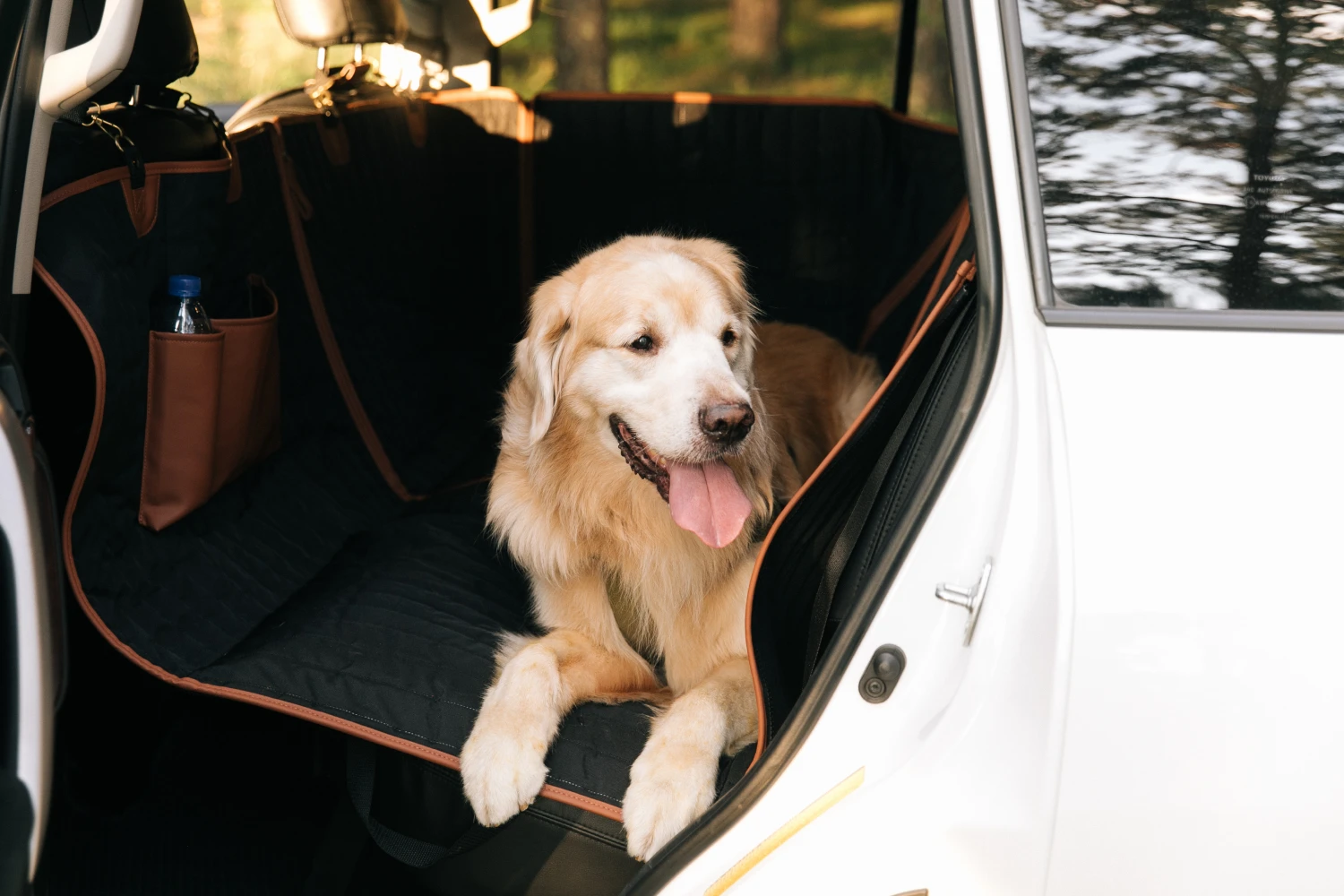 Bulldogs Back Seat Cover for GMC Acadia