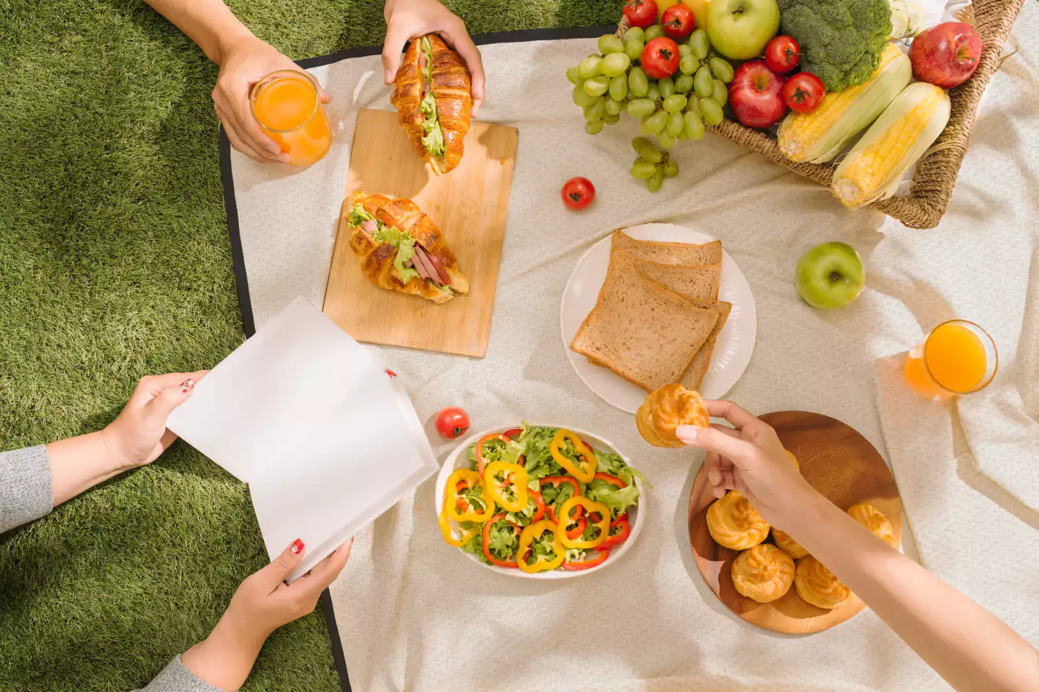 Rollup Picnic Blanket