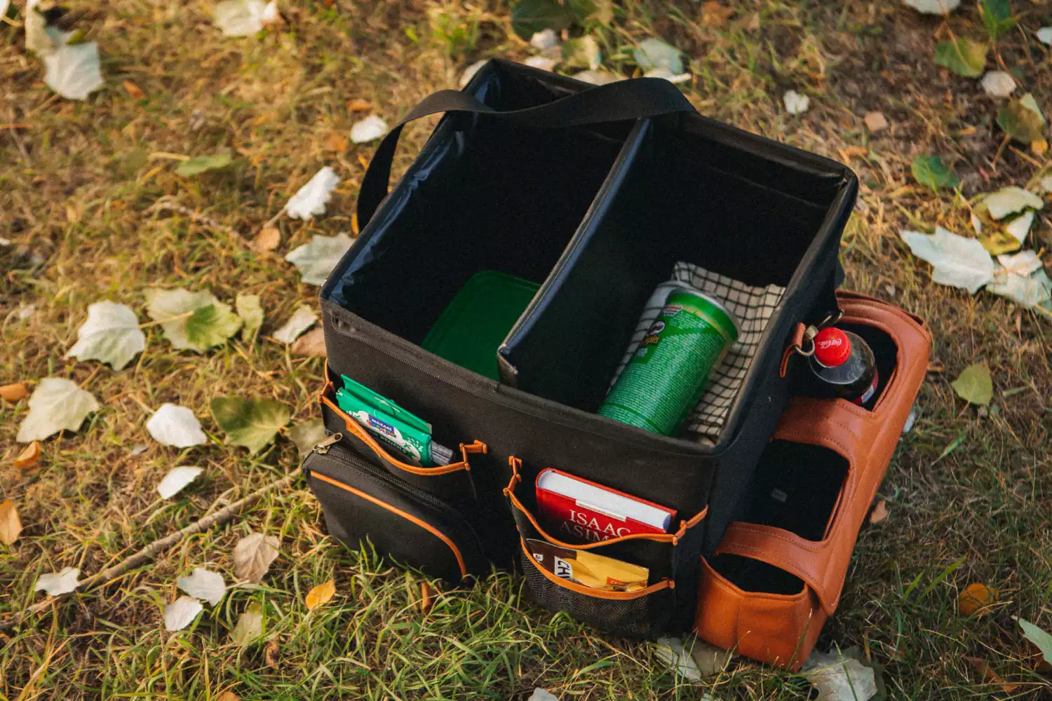 Nissan Frontier Rear Storage