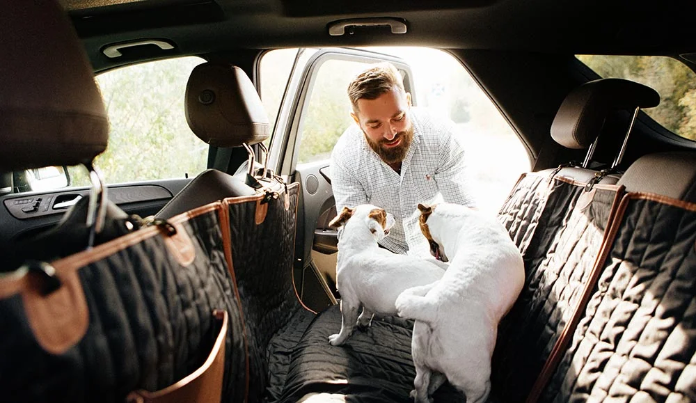 Dog Back Seat Cover for Toyota RAV4