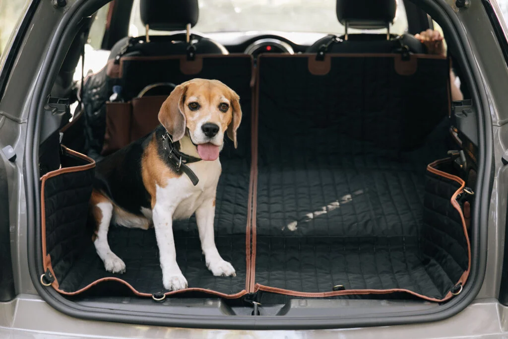 Dog Back Seat Cover for Hyundai Elantra