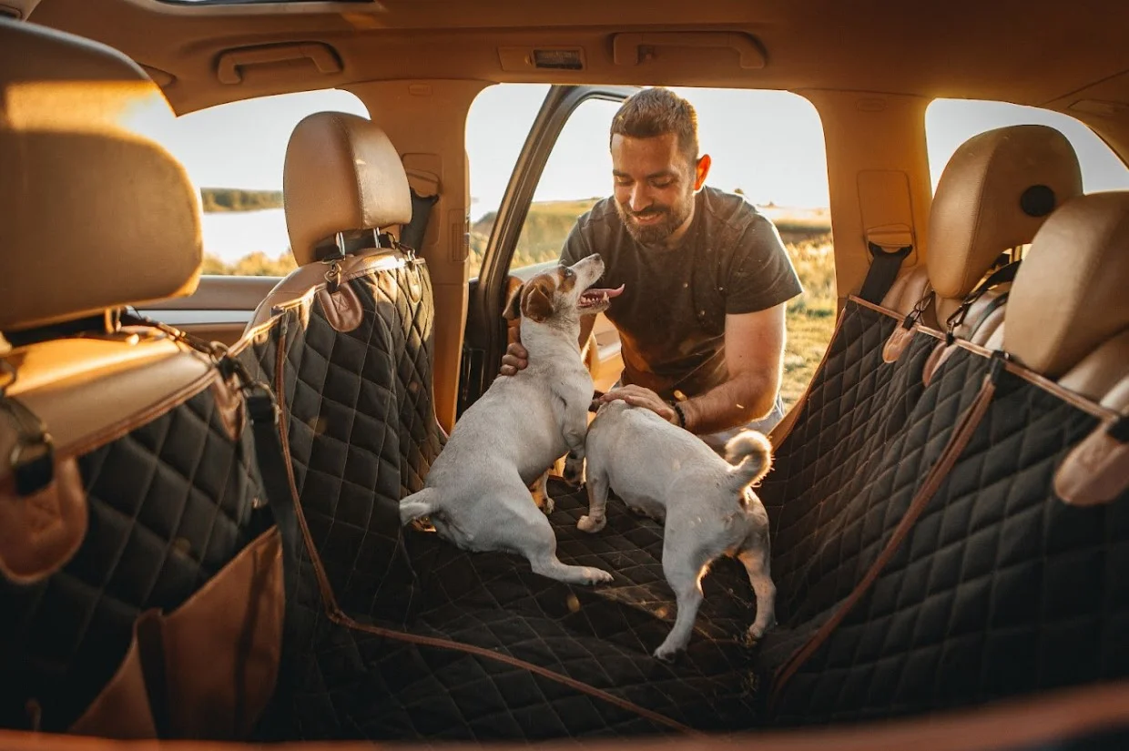 Hyundai Palisade Back Seat Cover for Staffordshire Bull Terriers