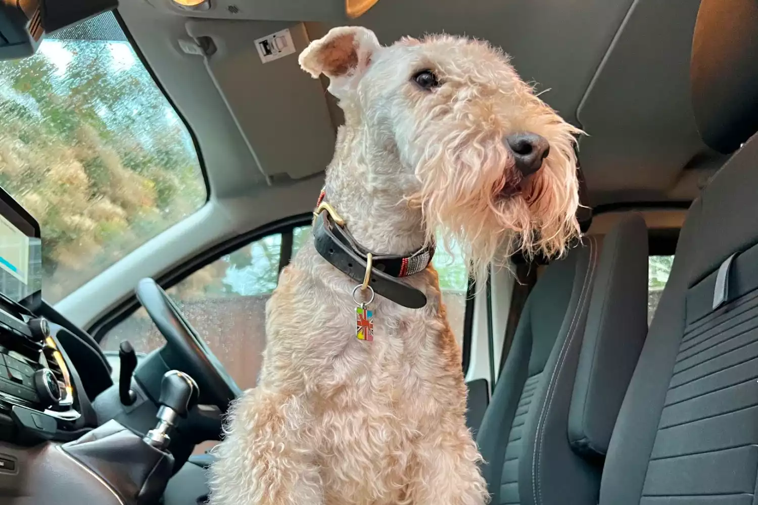 Honda CR-V Dog Car Seat for Lakeland Terriers