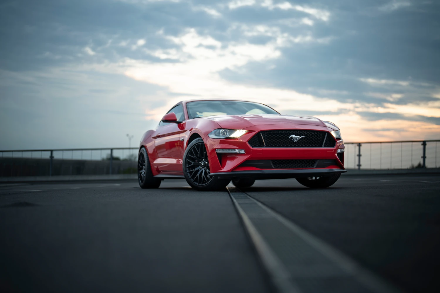 Trash Containers for Ford Mustang