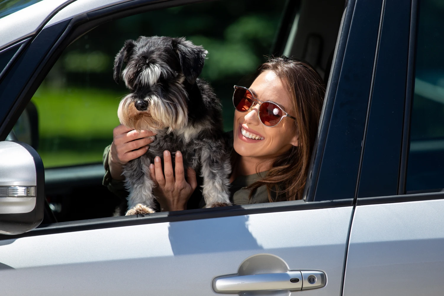 Toyota Sienna Back Seat Cover for Miniature Schnauzers