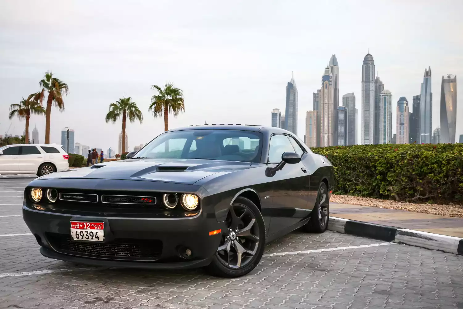 Car Garbage Can for Dodge Challenger